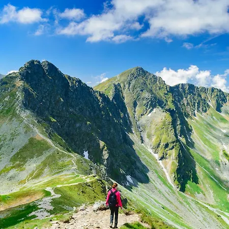 Pod Rohacmi Holiday home *